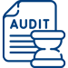 audit-icon-1
